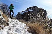 78 Tra rocce e roccette dello Zuc di Pralongone